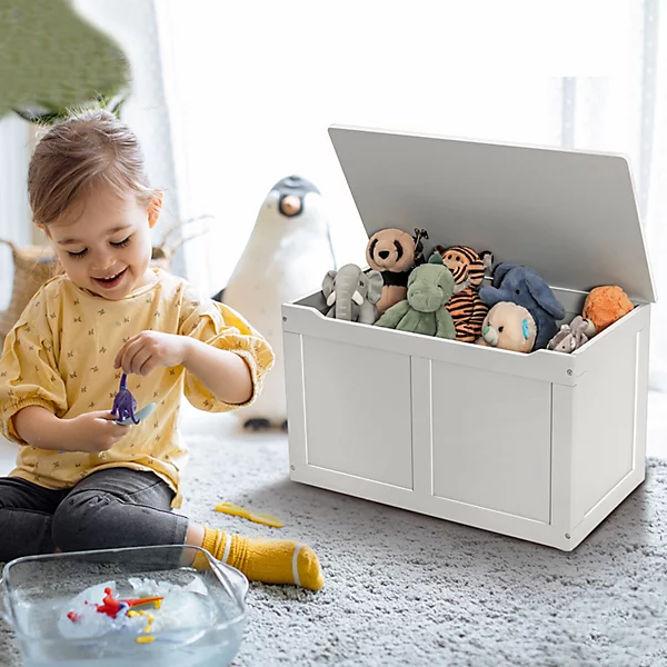 Toy